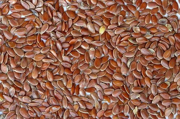 The benefits of flax seeds.